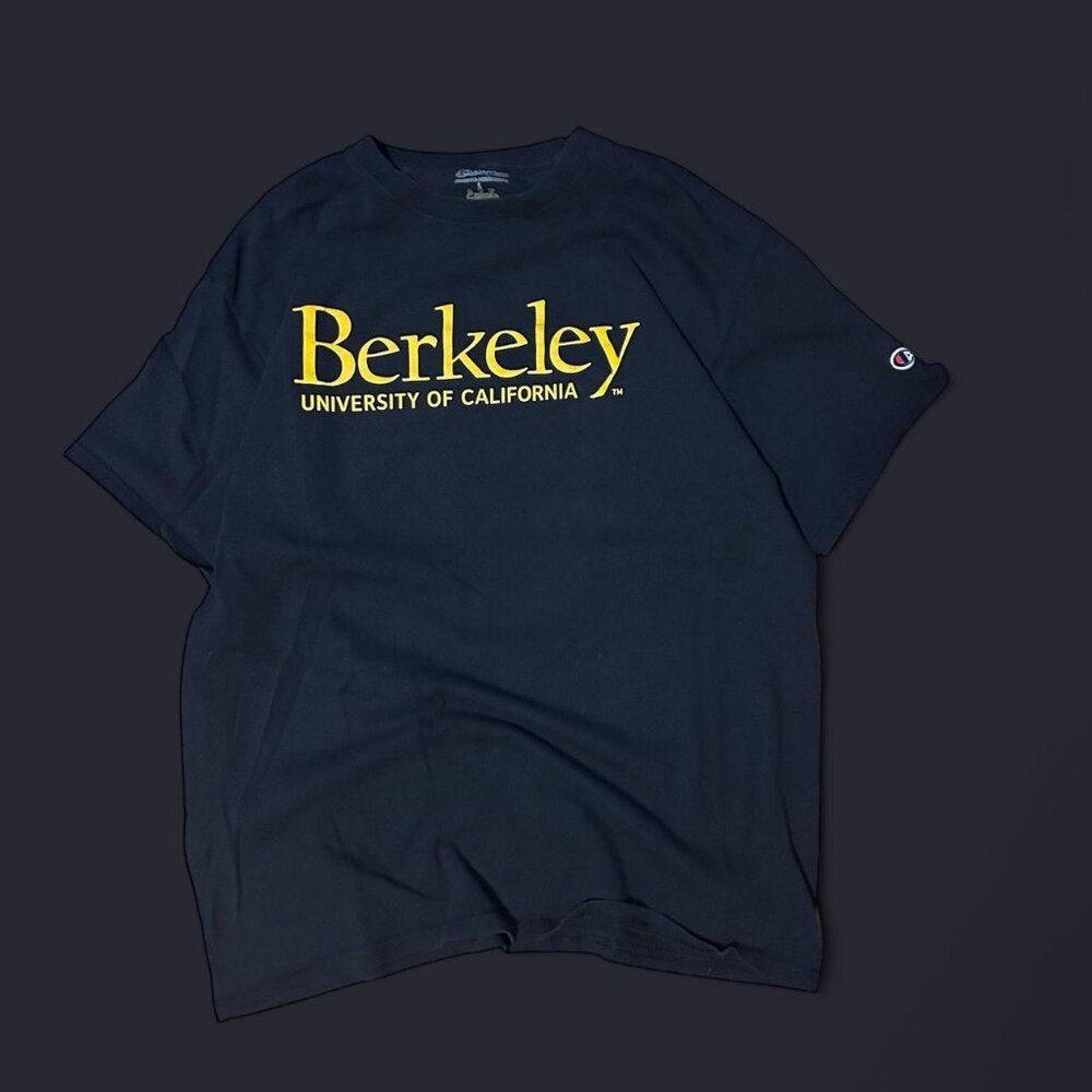 Champion Men's Black and Navy T-shirt